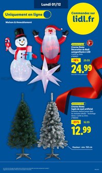 Promo Rideau Lumineux dans le catalogue Lidl du moment à la page 97