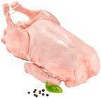 Frische junge deutsche Ente Angebote bei REWE Erkelenz für 7,77 €