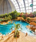Tropical Islands bei Berlin Angebote bei Lidl Gelsenkirchen für 59,00 €