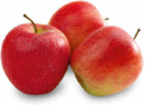 Aktuelles Äpfel rot Angebot bei Netto Marken-Discount in Stuttgart ab 1,00 €