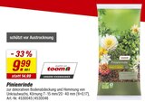 Pinienrinde Angebot in Bachenberg Pinienrinde im aktuellen Prospekt bei toom Baumarkt in Bachenberg