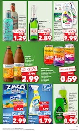 Ariel im Kaufland Prospekt in Weiden Aktueller Kaufland Prospekt mit Ariel, "Aktuelle Angebote", Seite 41