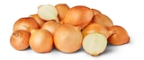 Penny Kaulsdorf - Deutsche Zwiebeln Angebot im Prospekt Deutsche Zwiebeln bei Penny im Kaulsdorf Prospekt für 1,11 €