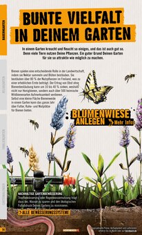 Gartenbewässerung im Hornbach Prospekt "Garten 2024" mit 54 Seiten (Bochum)
