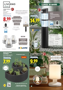 Promo Serre De Jardin dans le catalogue Lidl du moment à la page 26