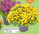 Angebot im Thomas Philipps Stavenhagen (Reuterstadt) Prospekt Thomas Philipps Stavenhagen (Reuterstadt) Prospekt mit im Angebot fĂŒr 4,79 âŹ