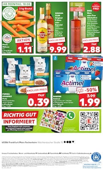 Kaninchen im Kaufland Prospekt "Aktuelle Angebote" mit 66 Seiten (Frankfurt (Main))