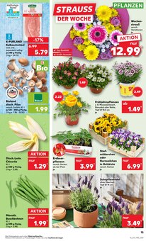 Blumen im Kaufland Prospekt "Aktuelle Angebote" mit 48 Seiten (Trier)