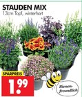 Stauden Mix im Angebot bei Wreesmann in Görlitz Stauden Mix Angebote bei Wreesmann Görlitz für 1,99 €