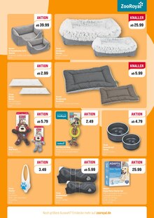 Sofa im aktuellen ZooRoyal Prospekt (Hamburg) Sofa im ZooRoyal Prospekt "VORFREUDE IST DIE SCHÖNSTE FREUDE!" mit 8 Seiten (Hamburg)