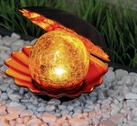 Solar-Dekolicht „Muschel“ Angebote von toom bei toom Baumarkt Magdeburg für 9,99 €