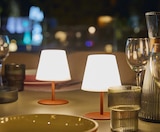 Set de 2 lampes Twins à 39,99 € dans le catalogue Botanic