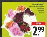 Chrysanthemen im Angebot bei EDEKA in Erlangen Chrysanthemen Angebote bei EDEKA Erlangen für 2,99 €