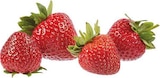 Spanien Erdbeeren bei EDEKA im Lotte Prospekt für 1,99 €