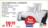 Luxus-Kammerkissen bei Marktkauf im Gelsenkirchen Prospekt für 19,99 €