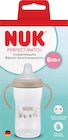 Trinklernflasche Perfect Match braun, ab 6. Monat, 260 ml von NUK im aktuellen dm-drogerie markt Prospekt für 8,45 €