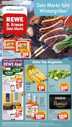 REWE Prospekt "Dein Markt" für Lüneburg, 30 Seiten, 04.11.2024 - 09.11.2024