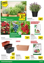 Blumenkasten Angebot im aktuellen Hagebaumarkt Prospekt auf Seite 4