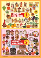 Sonnenblume im Marktkauf Prospekt in Leipzig Aktueller Marktkauf Prospekt mit Sonnenblume, "AUSWAHL RIESIG, PREISE NIEDRIG", Seite 41