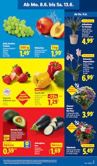 Pflanzen im aktuellen Lidl Prospekt (Jena) Pflanzen im Lidl Prospekt "LIDL LOHNT SICH" mit 77 Seiten (Jena)