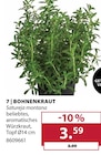 Bohnenkraut Angebote bei Dehner Garten-Center Remscheid für 3,59 €