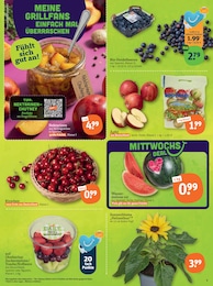 Äpfel im tegut Prospekt Äpfel im tegut Prospekt "tegut… gute Lebensmittel" auf Seite 5