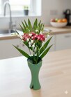 Muguet 5 brins et 2 œillets de poète dans un grand vase - CARREFOUR en promo chez Carrefour Le Havre à 5,99 €