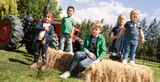 T-Shirt Angebot in Hofheim T-Shirt im aktuellen Prospekt bei Ernstings family in Hofheim