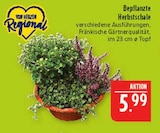 Bepflanzte Herbstschale im Angebot bei Marktkauf in Leipzig Bepflanzte Herbstschale Angebote von Vom Herzen Regional bei Marktkauf Leipzig für 5,99 €