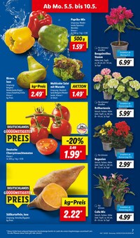 Paprika-Mix im aktuellen Lidl Prospekt (Dresden) Paprika-Mix im Lidl Prospekt "LIDL LOHNT SICH" mit 68 Seiten (Dresden)