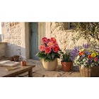 Potée fleurie XXL en promo chez Carrefour Toulon à 12,99 €