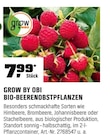 Bio-Beerenobstpflanzen im OBI Prospekt zum Preis von 7,99 €