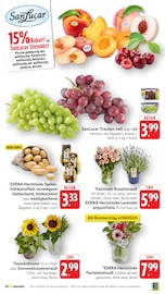 Dekoration im EDEKA Prospekt in Böblingen Aktueller EDEKA Prospekt mit Dekoration, "Aktuelle Angebote", Seite 6