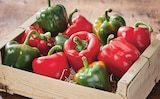 Poivron rouge et/ou vert dans le catalogue Netto