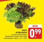 Salatrio mit Wurzelballen Angebote bei EDEKA Bautzen für 0,99 €