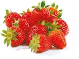 Netto mit dem Scottie Flieth-Stegelitz - Erdbeeren Angebot im Prospekt Erdbeeren bei Netto mit dem Scottie im Flieth-Stegelitz Prospekt für 3,49 €