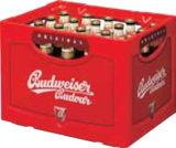 Aktuelles tschechisches Bier Angebot bei EDEKA in Rostock ab 14,99 €