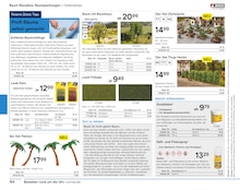 Thuja im Conrad Electronic Prospekt "Modellbahn 2024/25" mit 292 Seiten (Bonn)