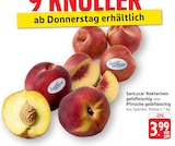 Nektarinen gelbfleischig oder Pfirsiche gelbfleischig Angebot in Teningen Nektarinen gelbfleischig oder Pfirsiche gelbfleischig im aktuellen Prospekt bei E center in Teningen