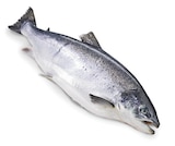 Aktuelle Lachs Angebote bei METRO in Bremerhaven Aktuelles Lachs Angebot bei METRO in Bremerhaven ab 10,15 €