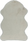 Aktuelles Teppich Cosy Angebot bei Die Möbelfundgrube in Saarbrücken ab 16,99 €