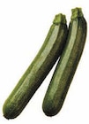 Zucchini von EDEKA im aktuellen EDEKA Prospekt