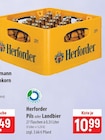 Pils bei famila Nordost im Diepholz Prospekt für 10,99 €
