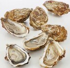 Huître fine de Cancale N°3 en promo chez Supermarchés Match Maubeuge à 8,99 €