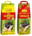 Aktuelle Briketts Angebote bei REWE in Duisburg Aktuelles »Grillis« oder Grill-Holzkohle »Der Sommerhit« Angebot bei REWE in Duisburg ab 7,49 âŹ
