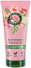 Spülung oder Shampoo Angebote von Herbal Essences bei REWE Oldenburg für 3,29 €