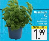 Basilikum XL  im aktuellen EDEKA Prospekt für 1,99 €