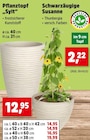 Pflanztopf "Sylt" für 2,22 € bei Thomas Philipps im Angebot Pflanztopf "Sylt" im aktuellen Thomas Philipps Prospekt