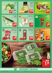 Aktueller Marktkauf Prospekt mit Blumen, "AUSWAHL RIESIG, PREISE NIEDRIG", Seite 9