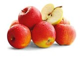 Penny-Markt - rote Äpfel Angebot im Prospekt rote Äpfel bei Penny-Markt im Prospekt "" für 1,99 €